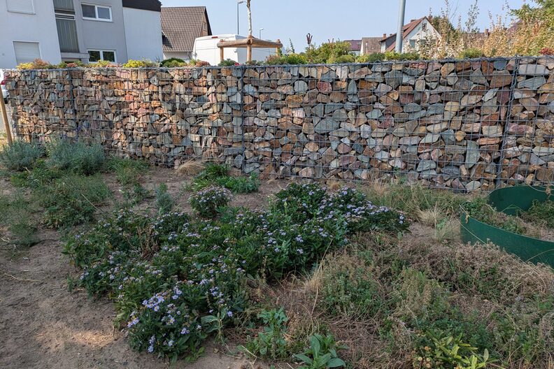 Staudenpflanzung, im Hintergrund eine Steinmauer