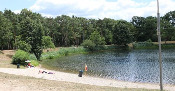 Projektplan zur Sanierung des Waldschwimmbads | Stadt Rüsselsheim