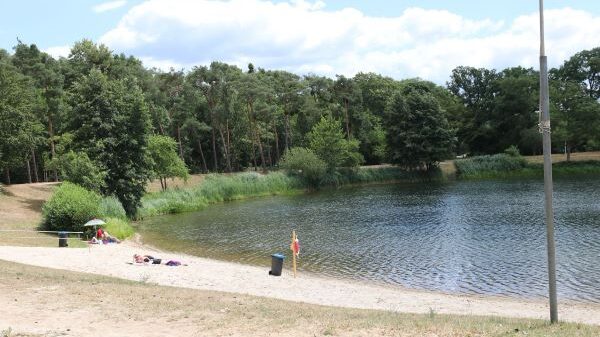 Blick vom Ufer auf den See im Waldschwimmbad