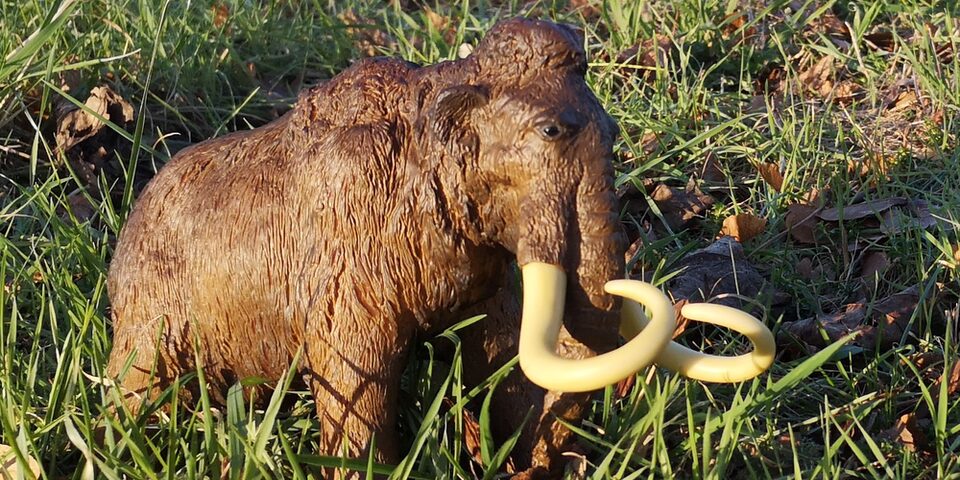 Mammut im Gras
