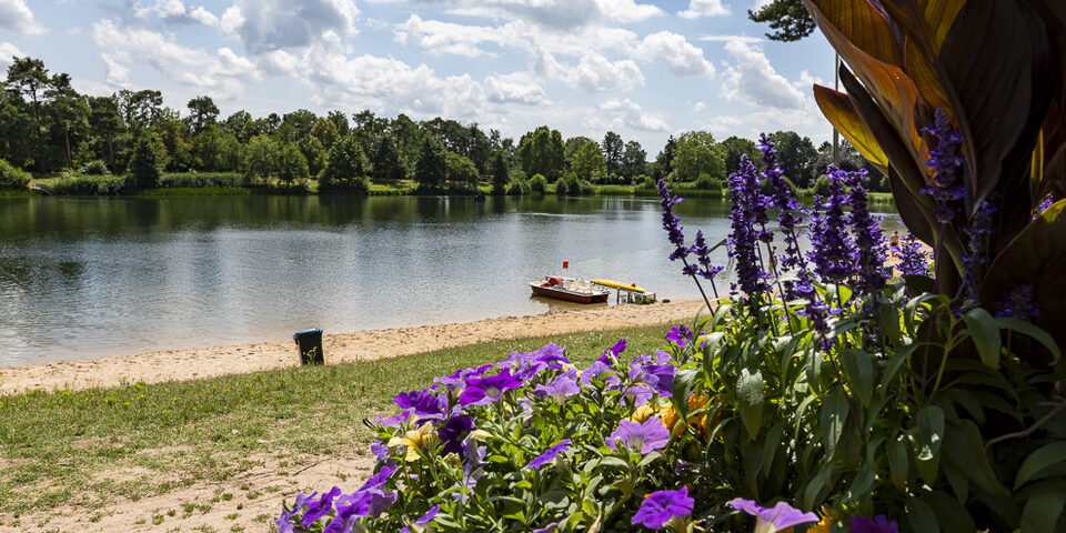 Waldschwimmbad Rüsselsheim am Main