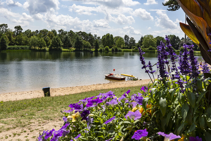 Waldschwimmbad Rüsselsheim am Main