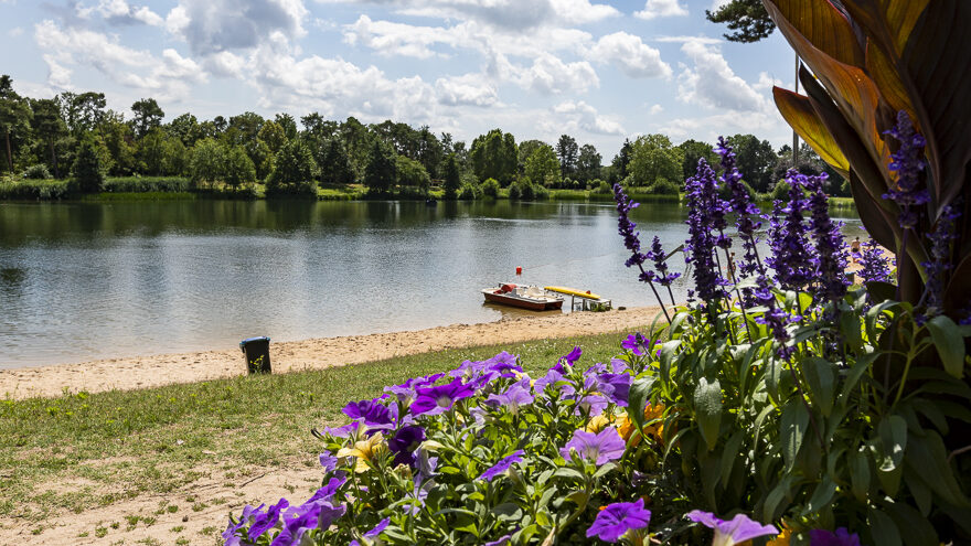 Waldschwimmbad Rüsselsheim am Main