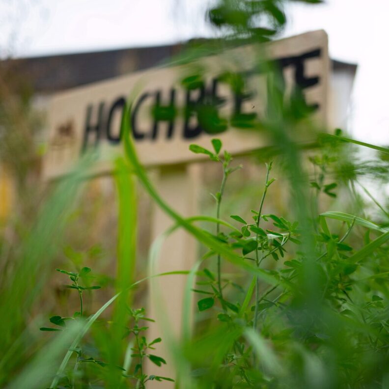 Schild auf dem Hochbeete steht